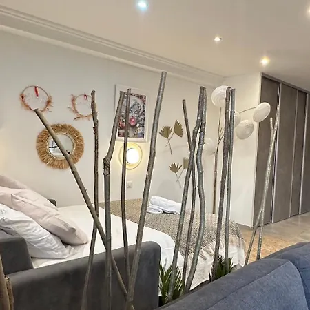 Grand Cosy Centre Appartement *